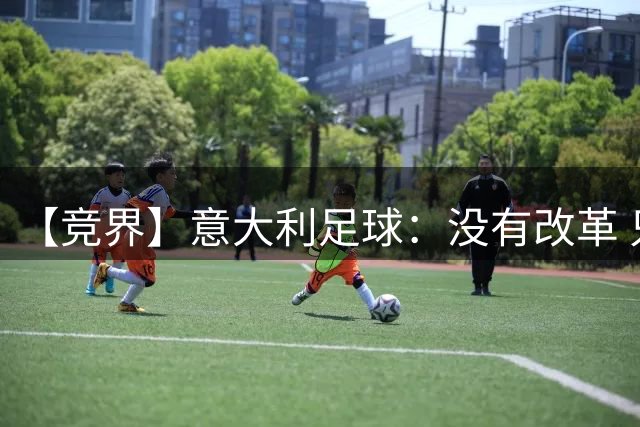 【竞界】意大利足球：没有改革 只有新的补锅匠