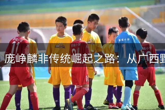 庞峥麟非传统崛起之路：从广西野球场到CBA核心的逆袭传奇