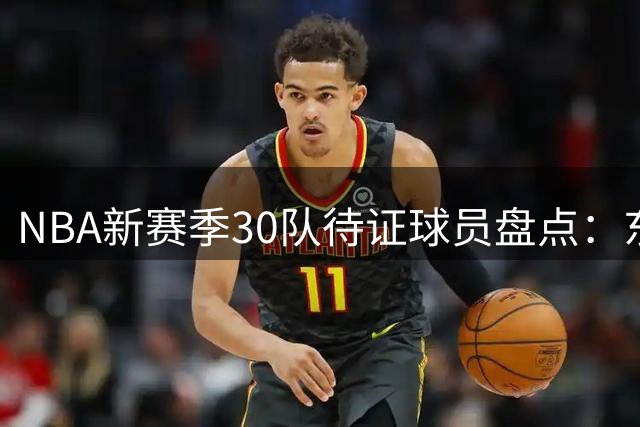 NBA新赛季30队待证球员盘点：东契奇布朗领衔